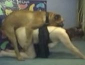 Novinha amadora na penetração anal com cão